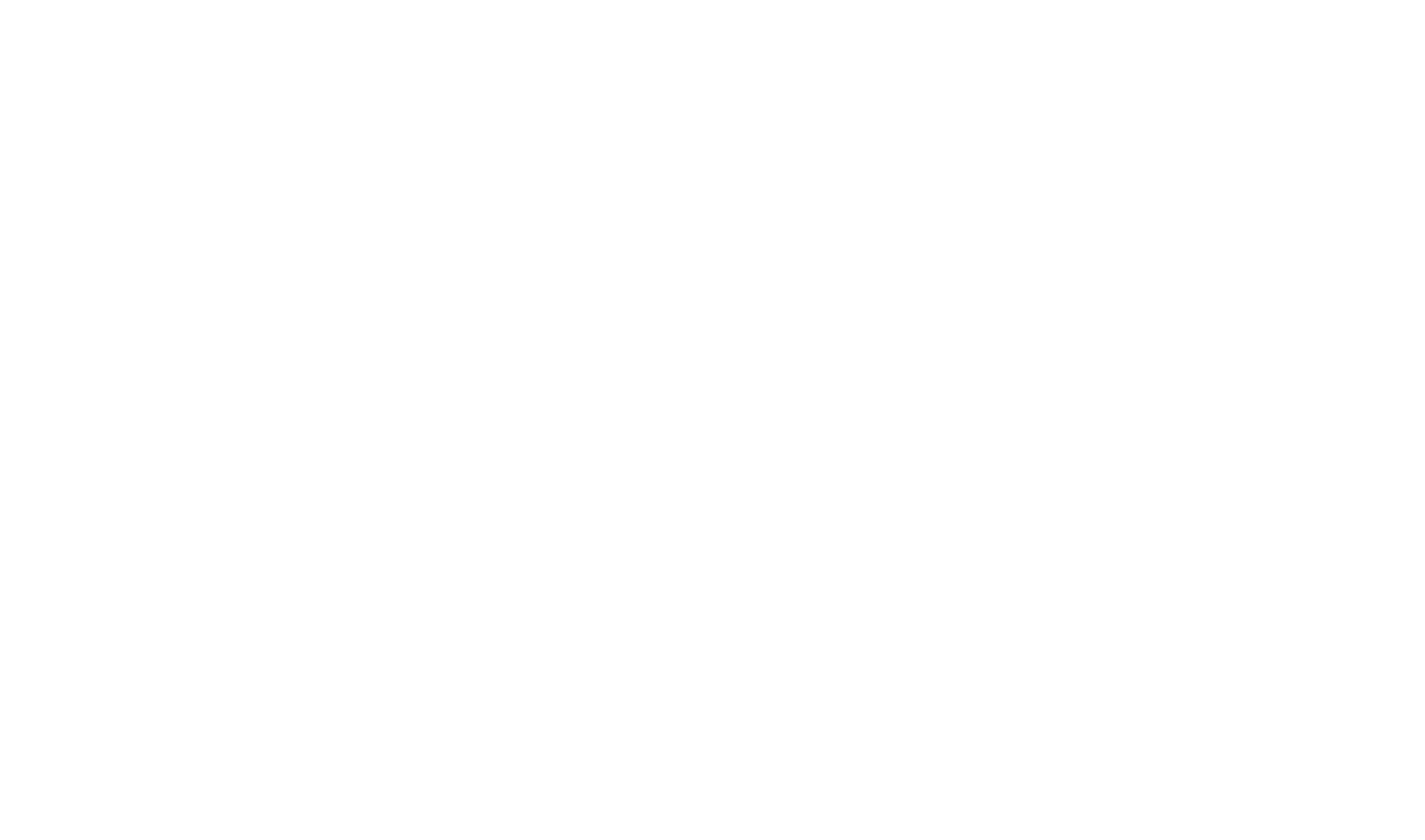 BAK Economics